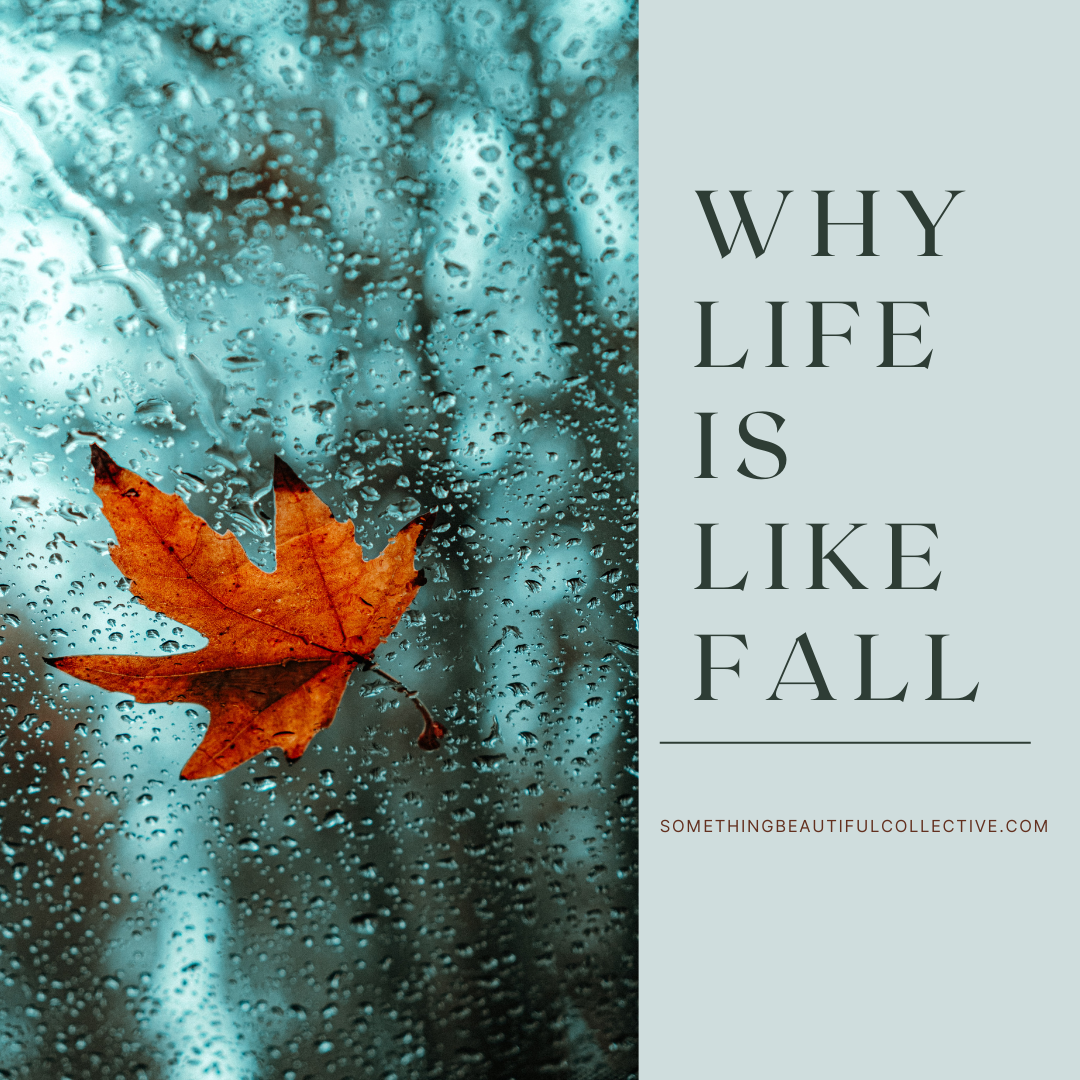 Why Fall Is Like Life
